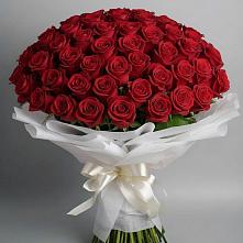 Букет 101 Красная роза Блэк Мэджик в Николаевской Республики Северная Осетия-Алания