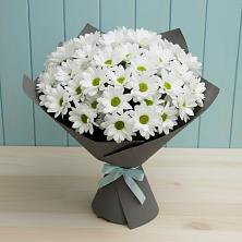 Букет цветов из:  Хризантемы в Николаевской Республики Северная Осетия-Алания