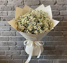 Букет цветов из:  Ромашки в Николаевской Республики Северная Осетия-Алания