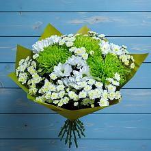 Букет цветов из:  Хризантемы в Николаевской Республики Северная Осетия-Алания