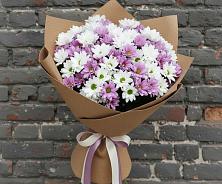 Букет цветов из:  Хризантемы в Николаевской Республики Северная Осетия-Алания