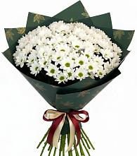 Букет цветов из:  Хризантемы #REPLACE_PRED# Николаевской Республики Северная Осетия-Алания