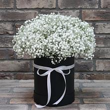 Цветочная композиция из Гипсофила в шляпной коробке в Николаевской Республики Северная Осетия-Алания