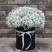 Цветочная композиция из Гипсофила в шляпной коробке в Николаевской Республики Северная Осетия-Алания