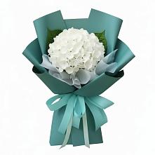 Букет цветов из:  Гортензия в Николаевской Республики Северная Осетия-Алания